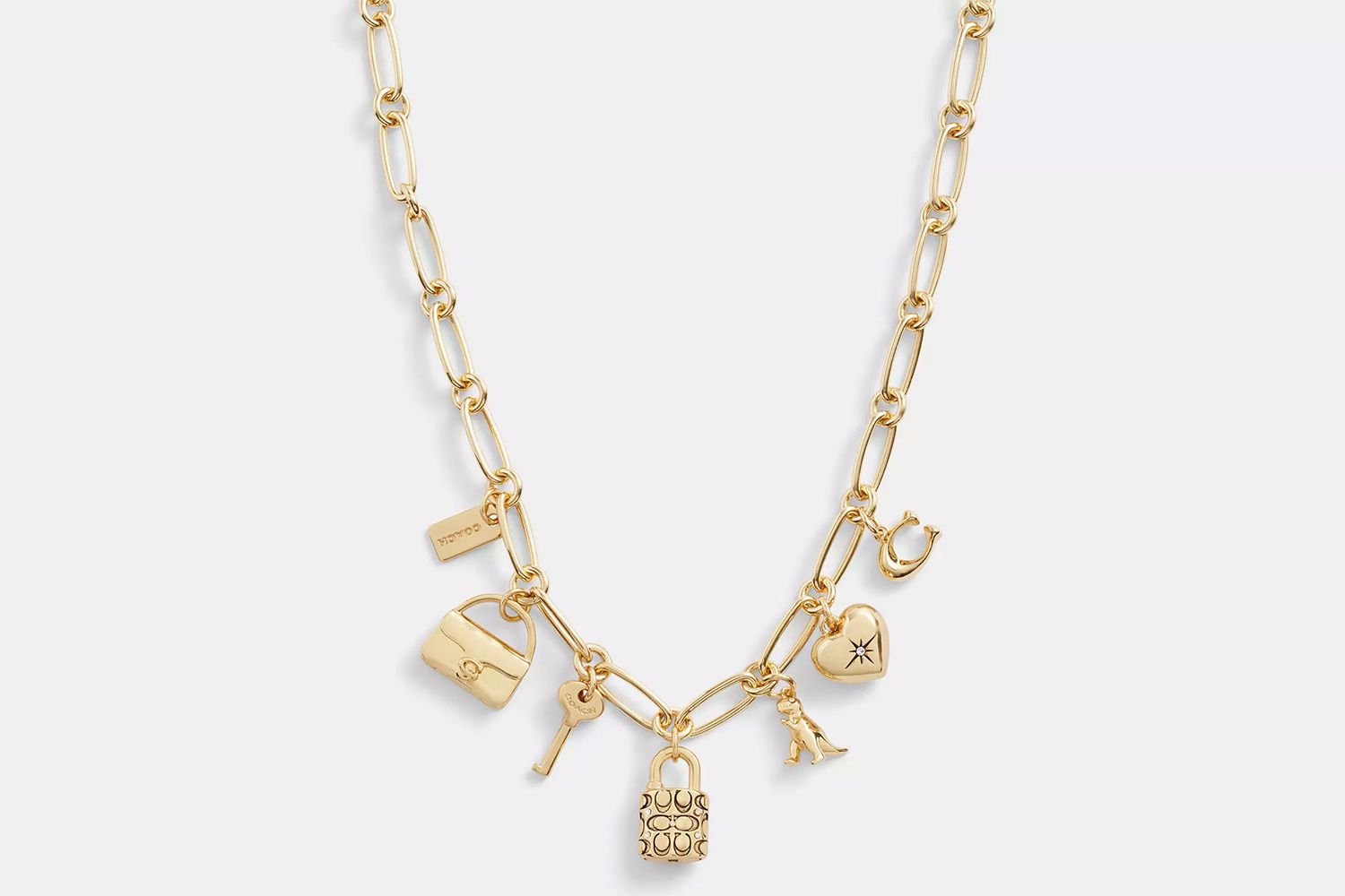 Iconic Charm Chain Necklace